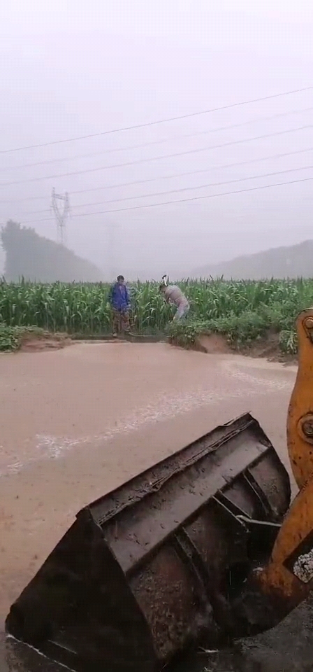 博農乳業(yè)黨支部 黨員防汛搶險沖鋒在一線
